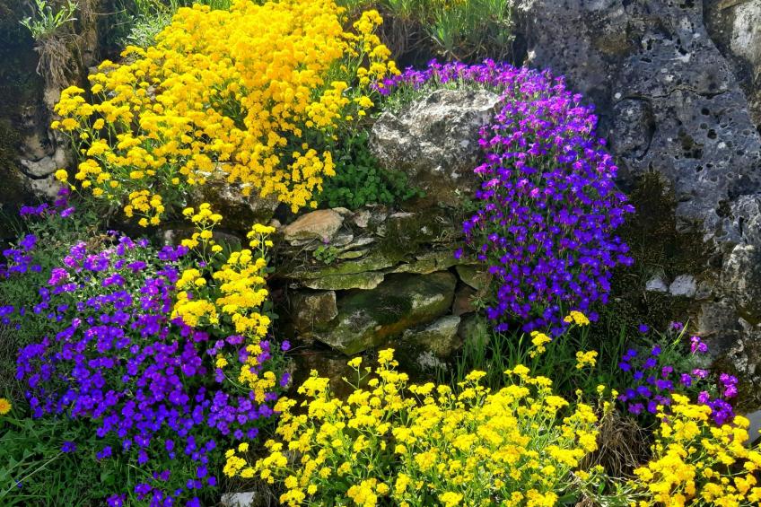 Romantische Villa mit weitläufigem Garten - foto 51