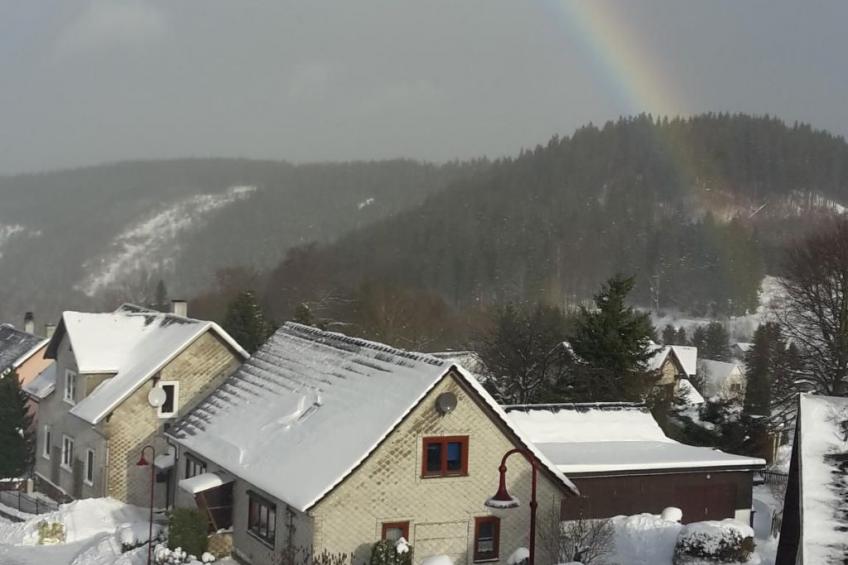 Thüringer Landhaus - foto 39