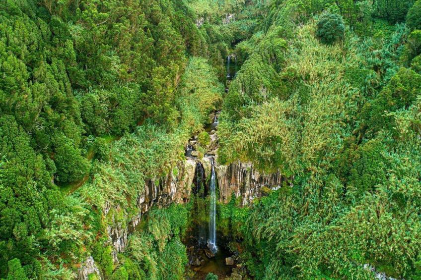 Das Haus der Patin 2 - foto 14