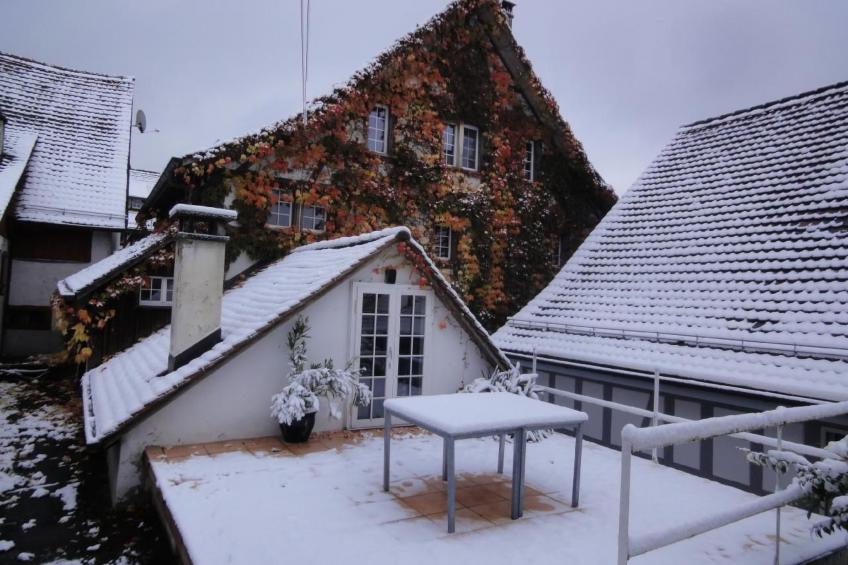 Les Mignardises - foto 10