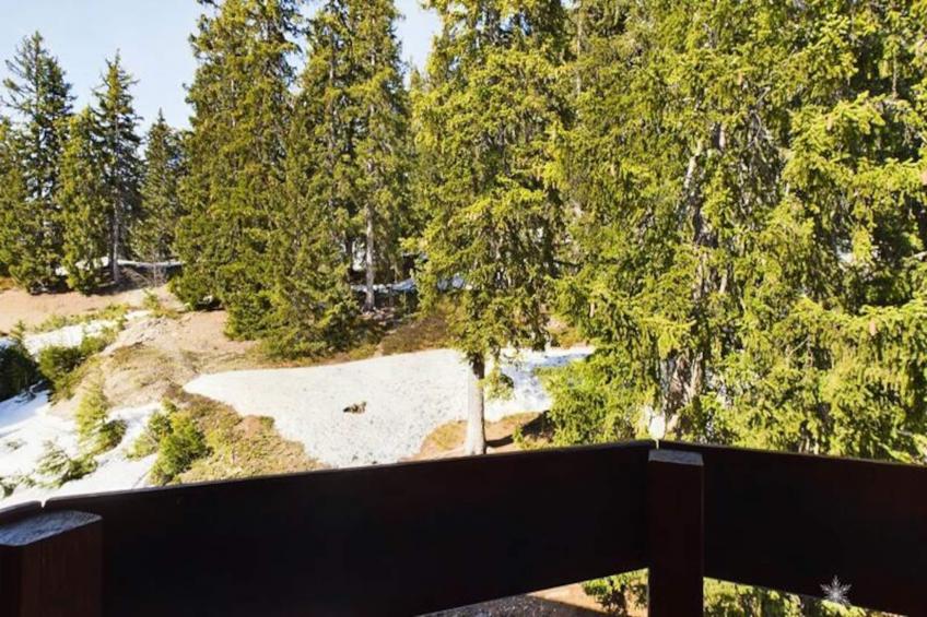 Résidence Bouquetins A - foto 8