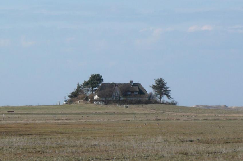 435609 - foto 20