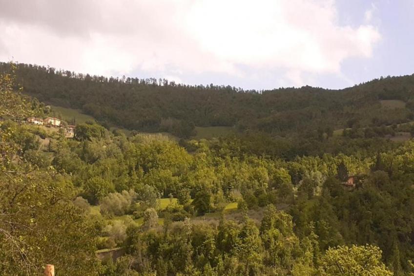 Villa Valtopina - foto 31