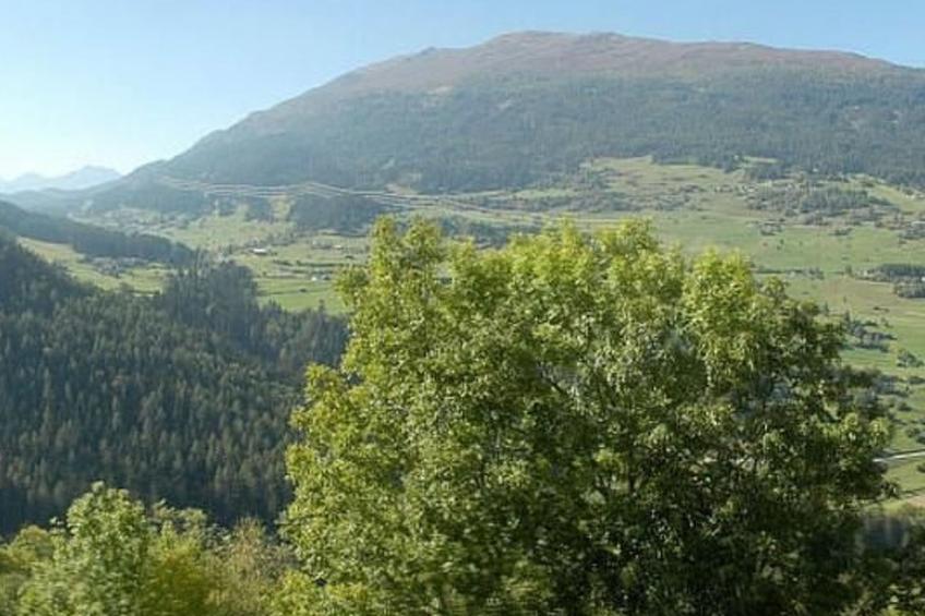 Haus Tauber - foto 31