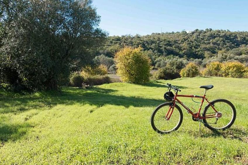 Berghütte "Villa Romao" - foto 21