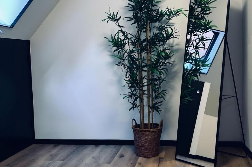 FeWo Vechtelust - foto 24