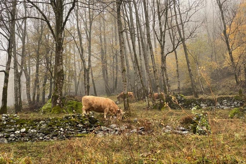 Casa Isabella - foto 8