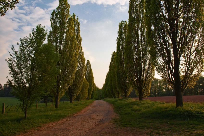 Fewo Hoppenhof 2 - foto 18