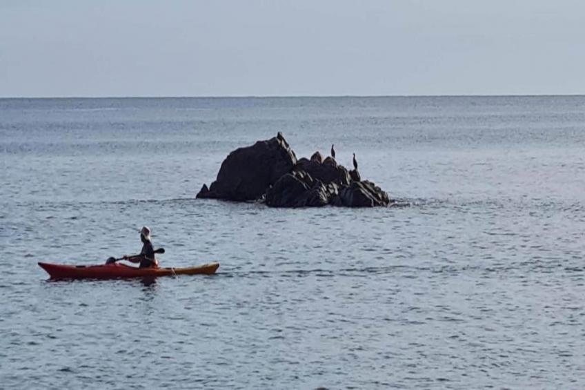 Canadell 1 - foto 39