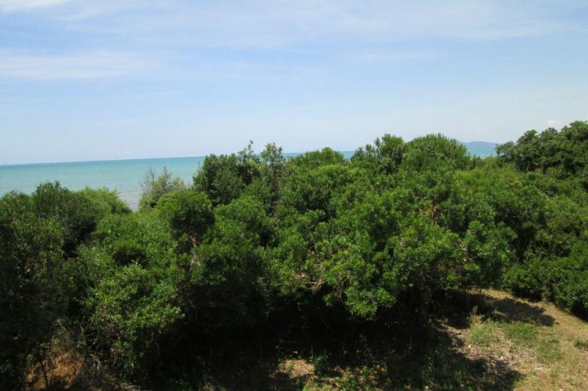 Giannella Holiday Apartment - foto 14