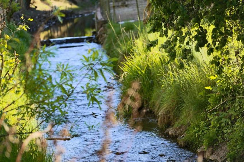 Im Teutoburger Wald - foto 34