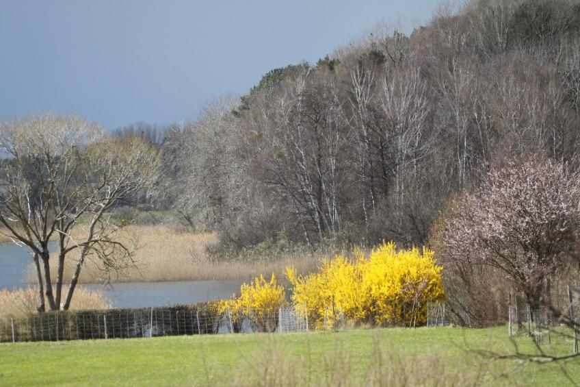 am See in Blankensee-Groß Schönfeld - foto 19
