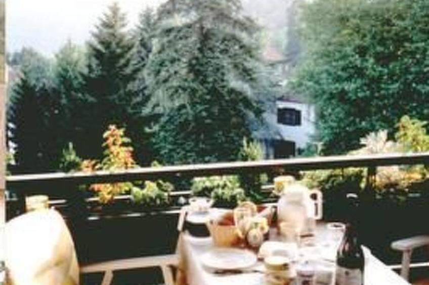 Fewo-ferber, Vogesen - foto 3