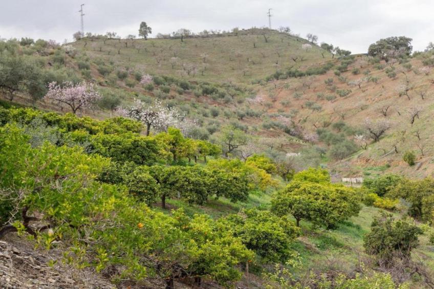 Casa el cielo - foto 30