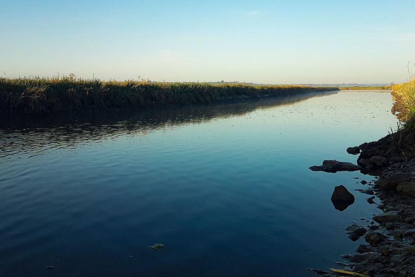 Le domaine des roseraies, Unterkunft Flaubert - foto 42