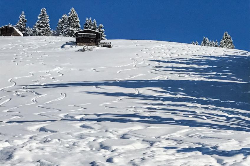 Almchalet Zillertal - foto 19