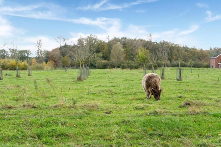 Casteeldoorn - foto 27