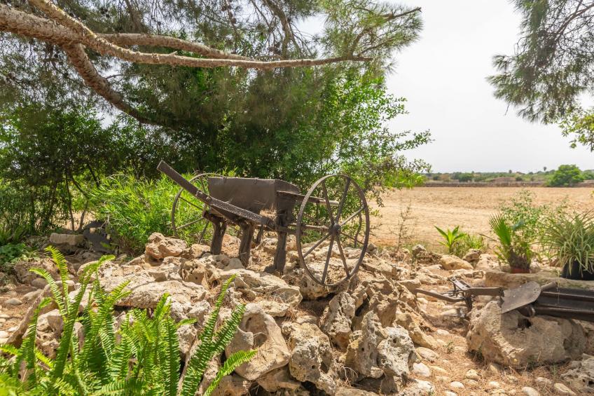 Can Ribas - foto 47