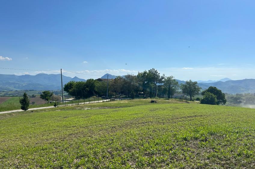 Bauernhaus Santa Maria del Monte - foto 13