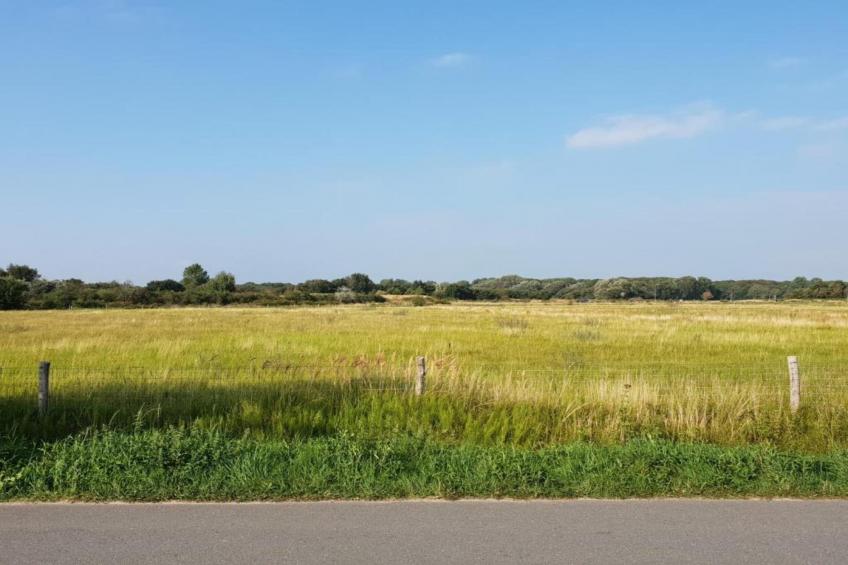 Naast het Bollenveld - foto 40