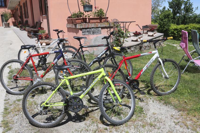 Das Anwesen von Al Brich - foto 11