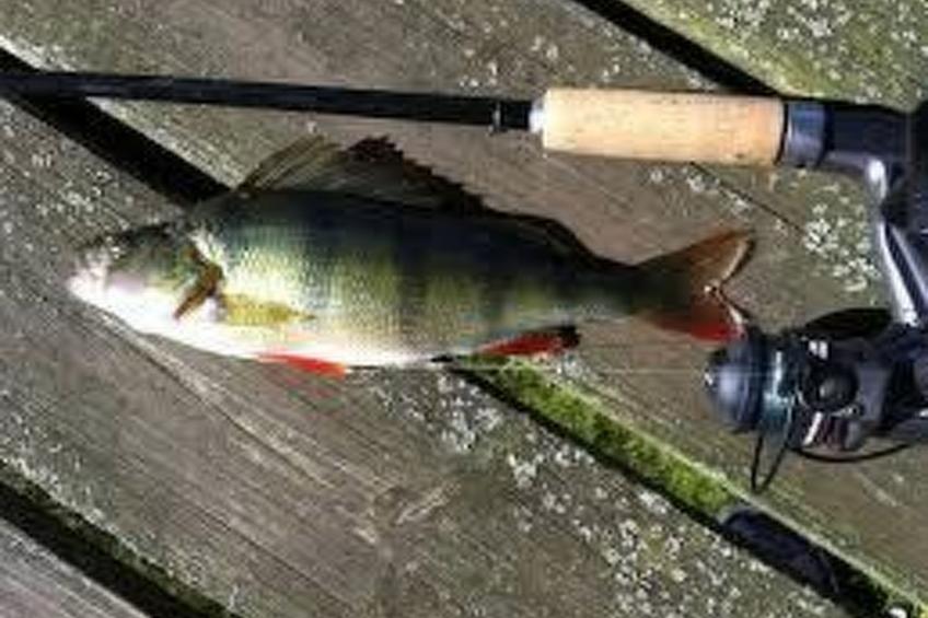 Holzhaus mit Terrasse, direkt an einer Bucht - foto 14