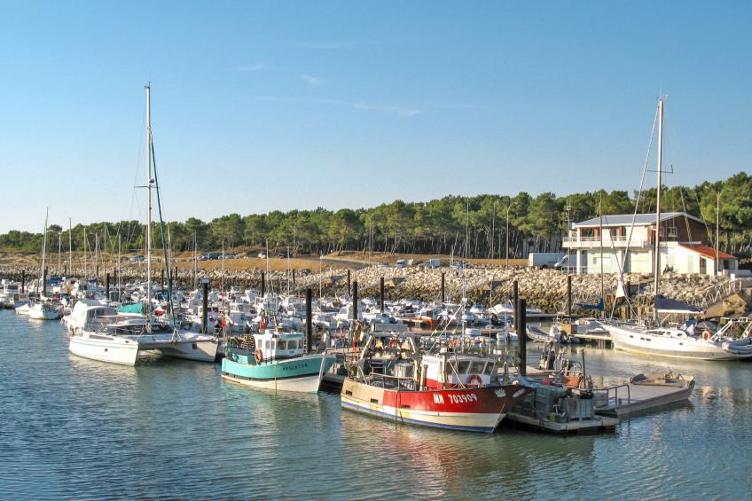 Les Jardins de la Palmyre - foto 24
