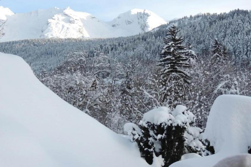 Residence Les Sybelles - foto 14