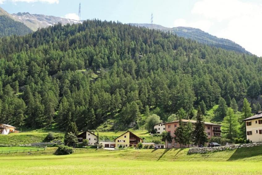 Ers Curtins - foto 26