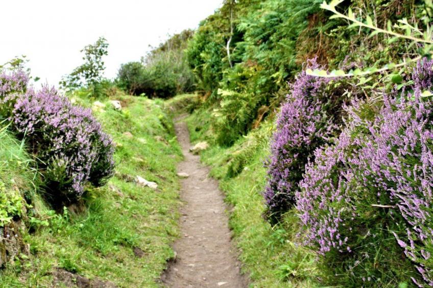 Gîte de Kerberso in Pléhédel - foto 36