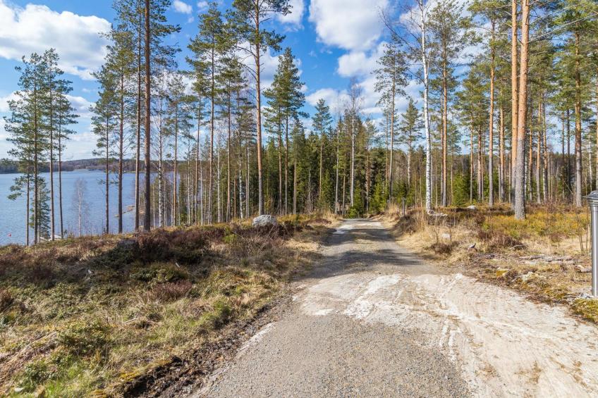 Hämyrinne - foto 44