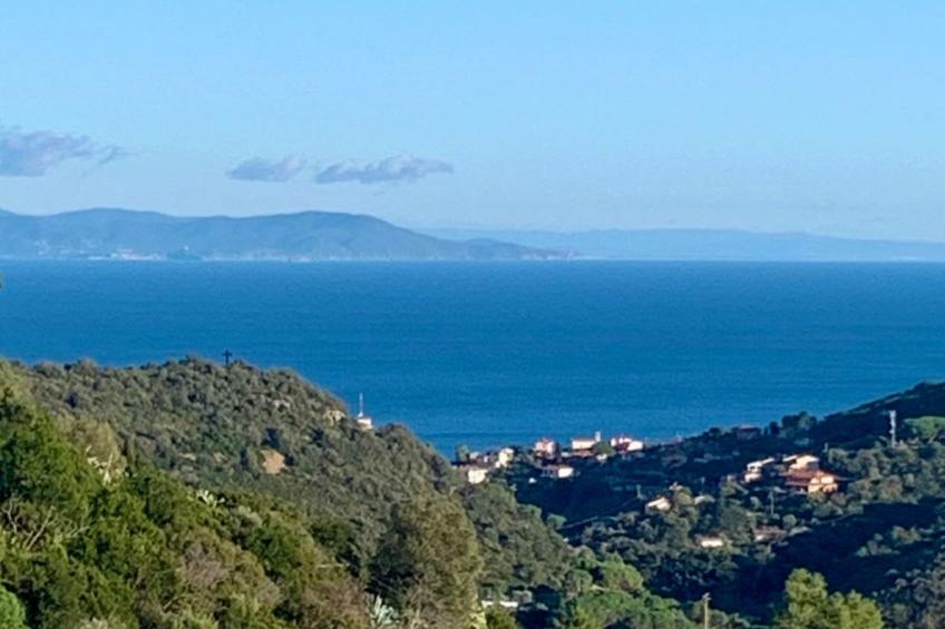 Wohnung 'The Blue Octopus' mit Blick aufs Wasser - foto 40