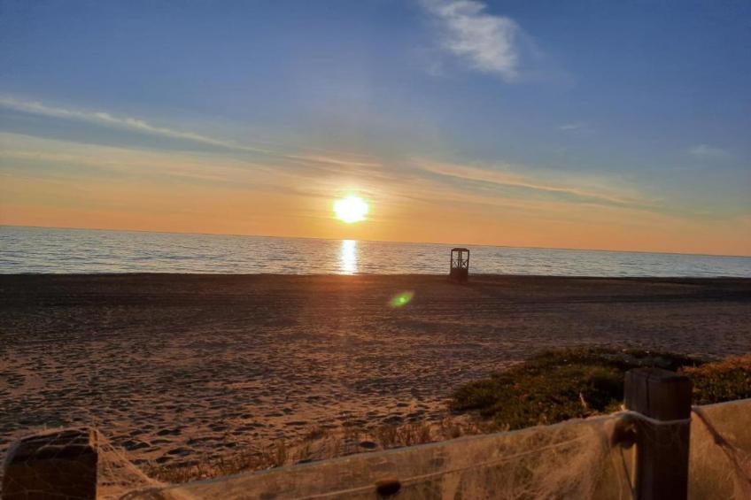 Castagneto1 - foto 25