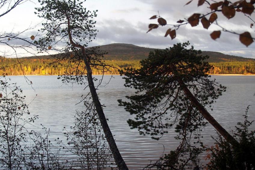 Teppolan rinne - foto 26