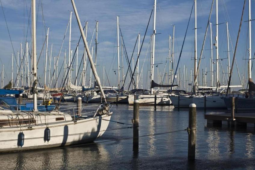 Villavakantiepark IJsselhof - foto 34