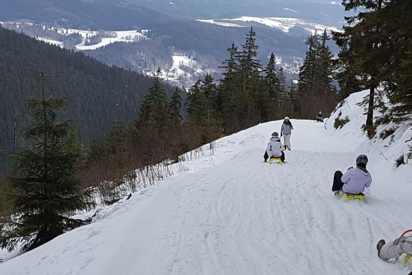 in natürlicher Umgebung - foto 42