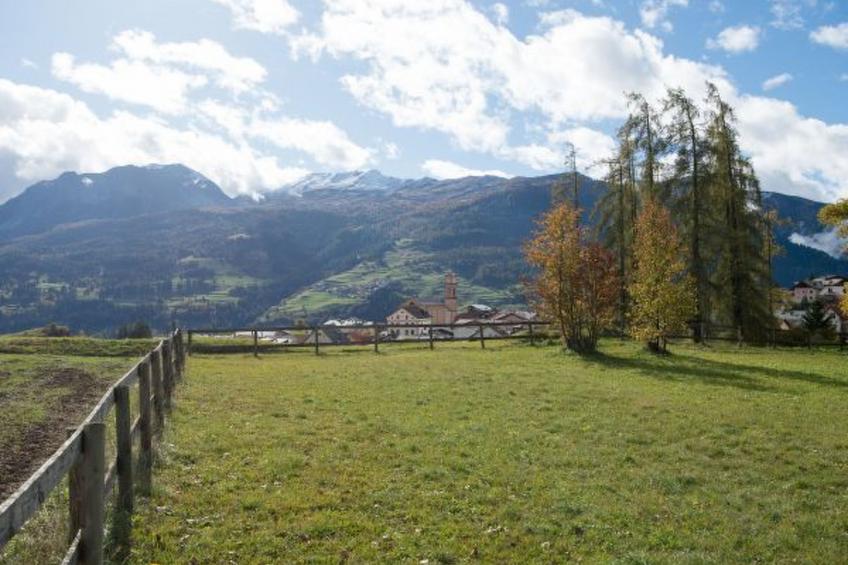 mit Garten Tgeasa Schilendra-Lantsch/Lenz - foto 6