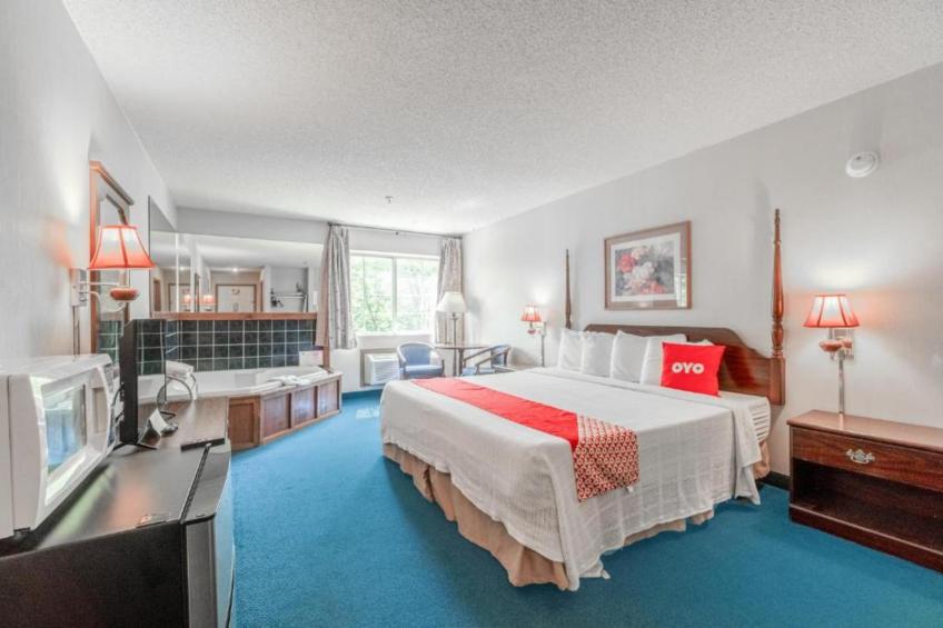 Premium King Room with Jetted Tub - foto 6