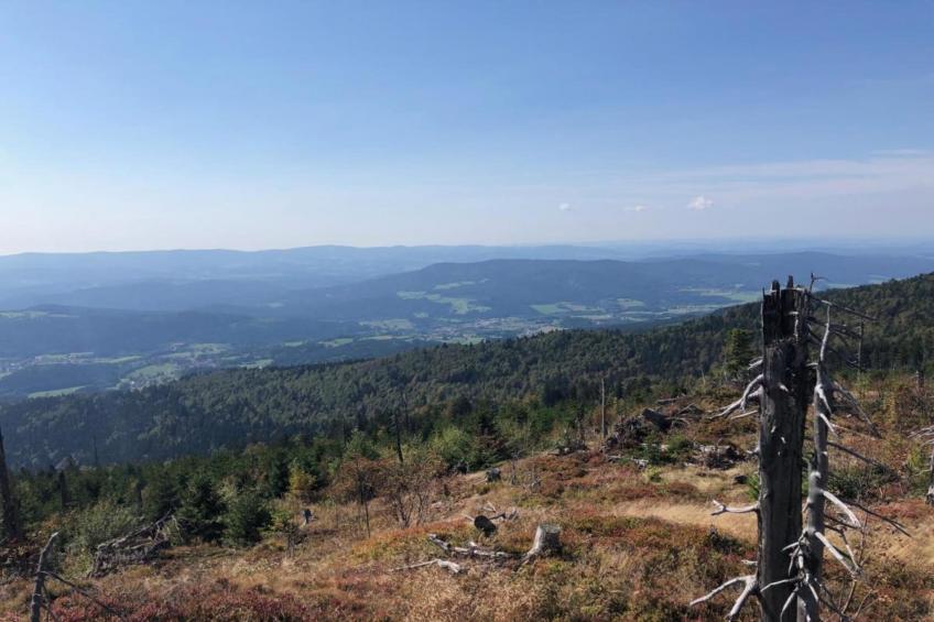 Finkenstube - foto 27