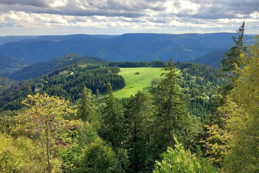 Panoramablick - foto 26
