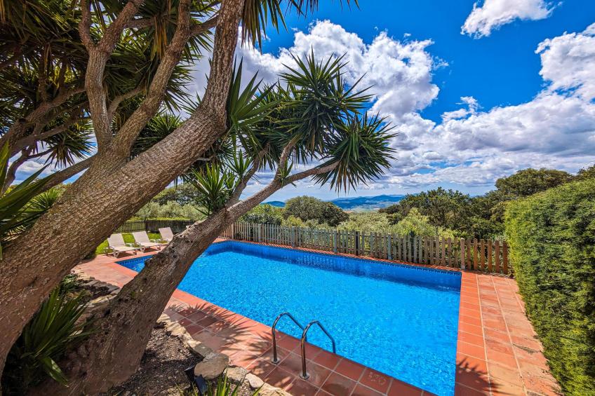 Finca las Chozas - foto 10