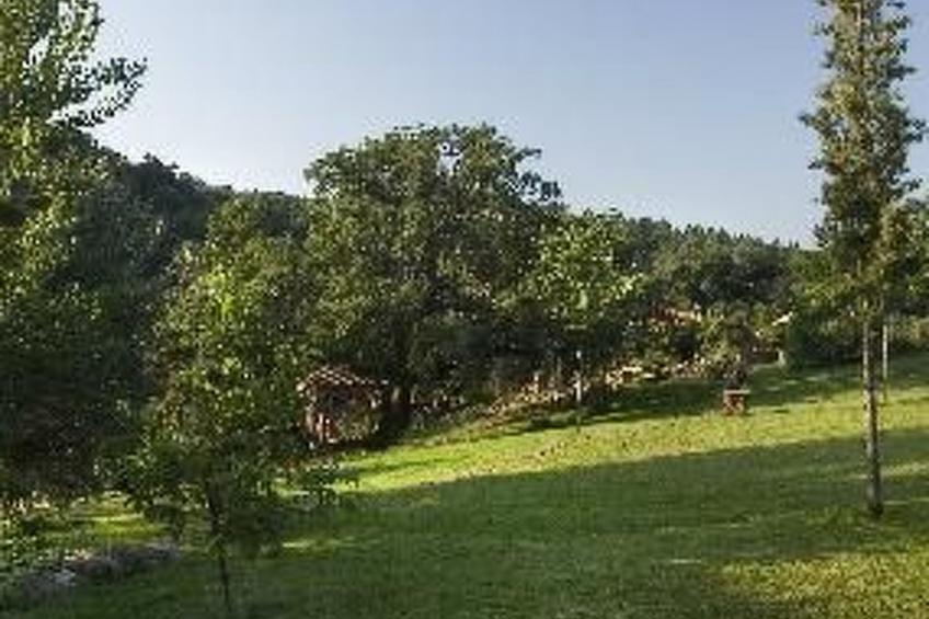 La Cigüeña - foto 6