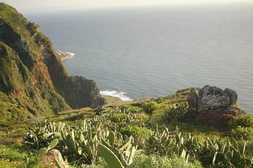 Schönes Ferienhaus in Prazeres - foto 8