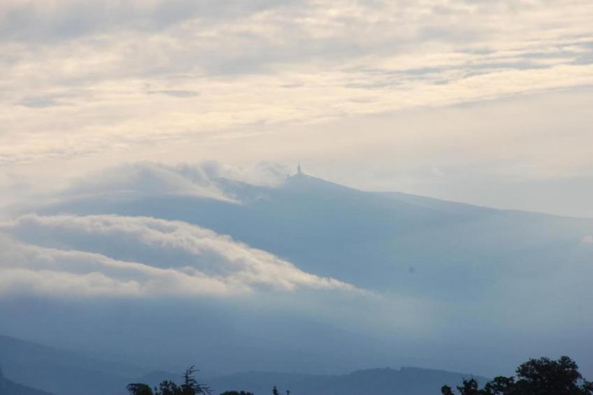 Le Renard et la Belette - foto 38