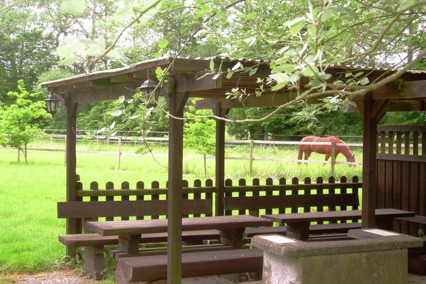 Lüneburger Heide - foto 39
