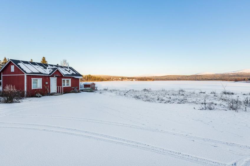 Tammukka i - foto 12