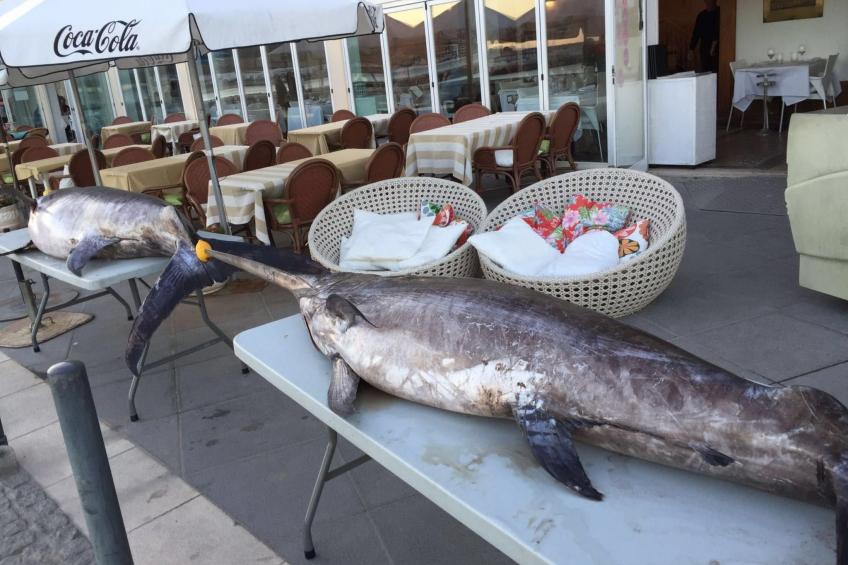 in Sesimbra mit Grill, Terrasse und Garten - foto 24