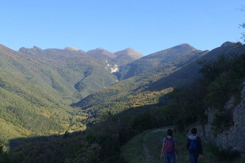 Domäne auf dem Bauernhof - foto 35