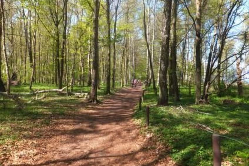 Ferienwohnung - foto 26