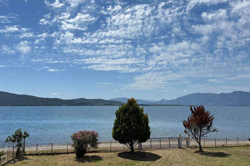 Tanjas Paradise - foto 10